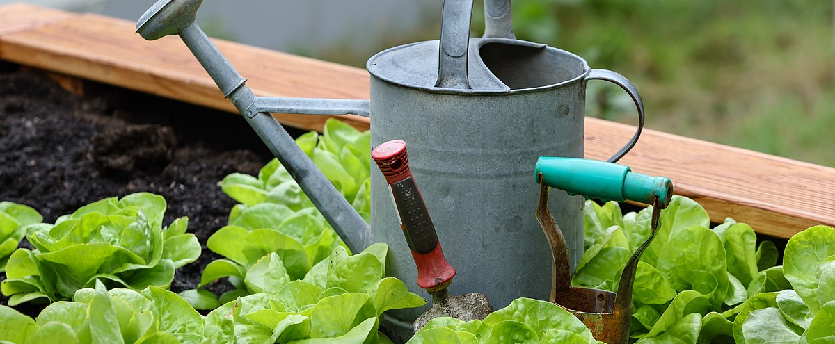 Gardening